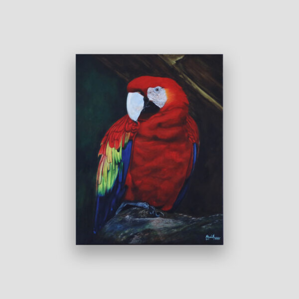 Guacamaya